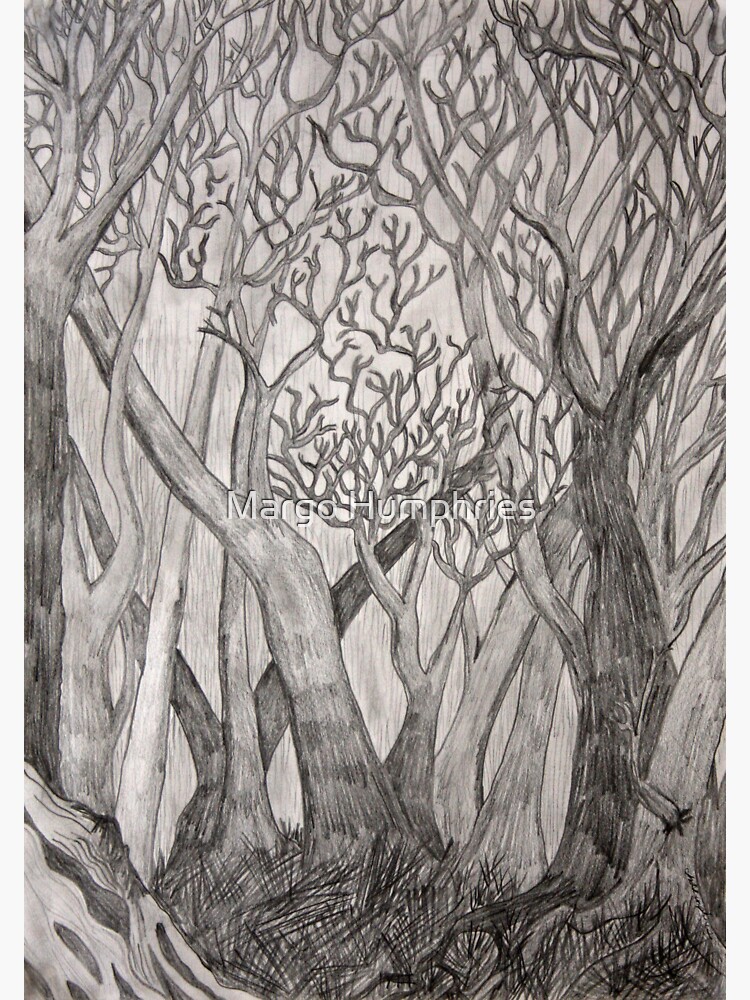 Trees by kasarnDesigns