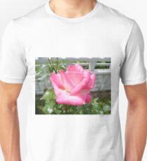 Pink rose Unisex T-Shirt