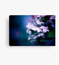 Passionate Hydrangea Canvas Print
