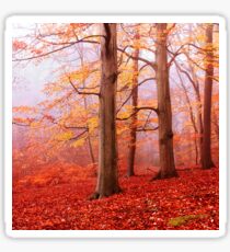 Burnham Beeches. November Sticker