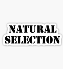NATURAL SELECTION Sticker