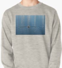 Ripples and Circles – Red-Necked Grebe Pullover