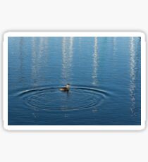 Ripples and Circles – Red-Necked Grebe Sticker