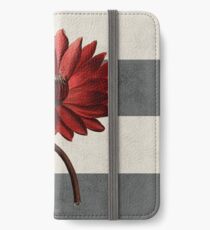 botanical stripes - red water lily iPhone Wallet/Case/Skin