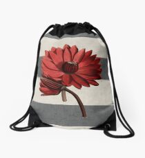 botanical stripes - red water lily Drawstring Bag