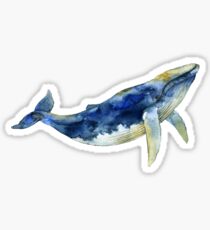 Blue Whale Sticker