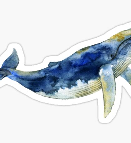 Humpback Whale: Stickers | Redbubble