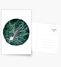 Dendritic tree and spines of an hippocampal neuron - Nebula Postcards