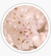 Vintage Apple Blossom Sticker