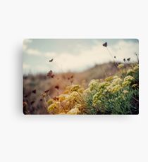 Meadow of Wildflowers Canvas Print