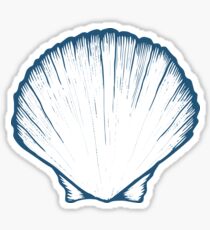 Seashell, sea shell, nature ocean aquatic underwater vector. Hand drawn marine engraving illustration on white background Sticker