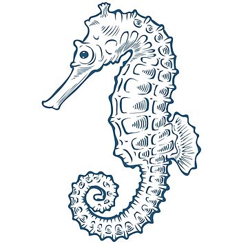 Vector drawn set of doodle marine stuff. Turtle, sea horse, sea