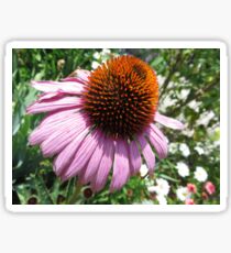 Cone Flower Sticker