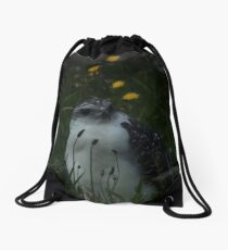 Gray Backed Hawk Drawstring Bag