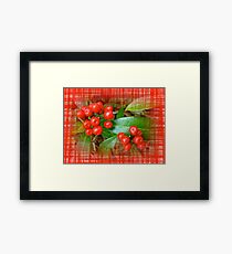 Holly Berries Framed Print