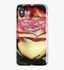TWO TONE iPhone Case