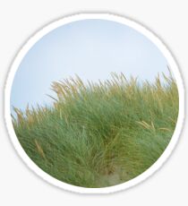 Dune Grass Sticker