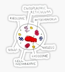 CELL CELL CELL Sticker