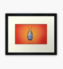 Penguin Framed Print
