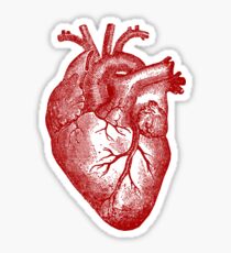 Vintage Heart Anatomy Sticker