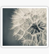 Dandelion Sticker