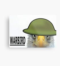 Warbird Metal Print