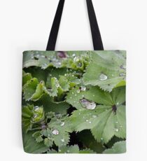Gefangener Tau am Frauenmantel Tote Bag