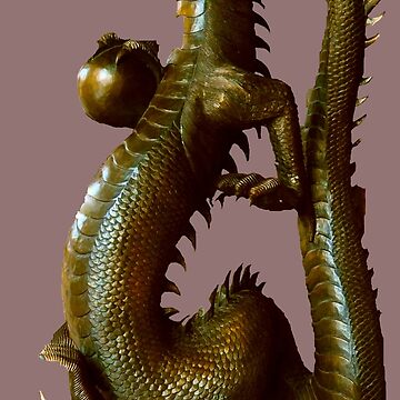 Artwork thumbnail, Dragon Delight by roggcar
