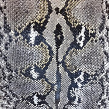 GREY Snake Skin Fabric Snakeskin Animal Print Cotton Material