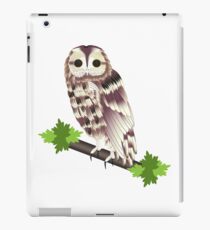 Illustrated Owl iPad Case/Skin