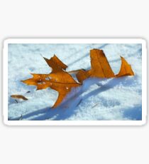 First Snow Sticker