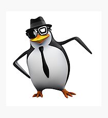 Cool Penguin Photographic Print