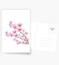 Sakura Kirschblüte Postkarten