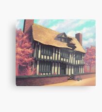 Tranquil house Metal Print
