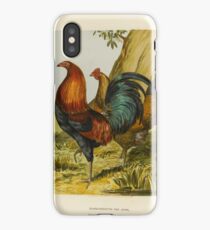 Poultry iPhone Case/Skin