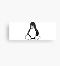 linux Metal Print