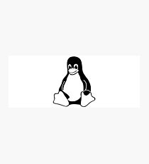 linux Photographic Print