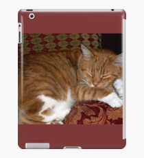 Ginger Tom cat iPad Case/Skin