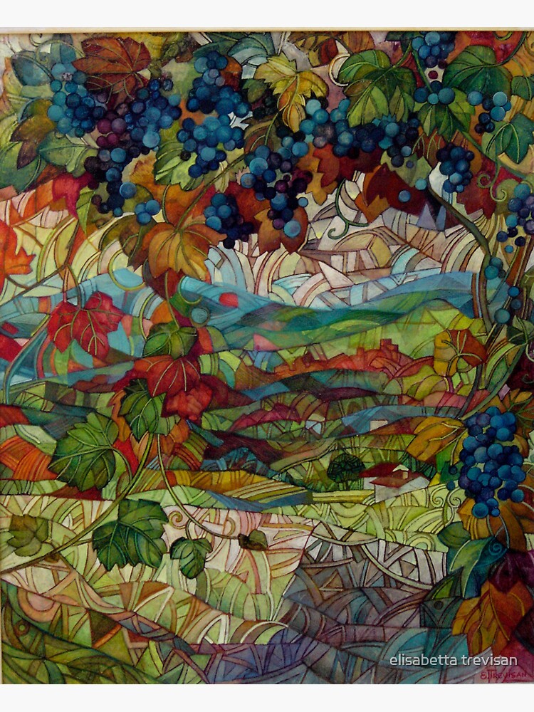 the vineyard by betta