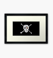 Fly the flag! Framed Print