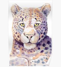 Leopard Poster