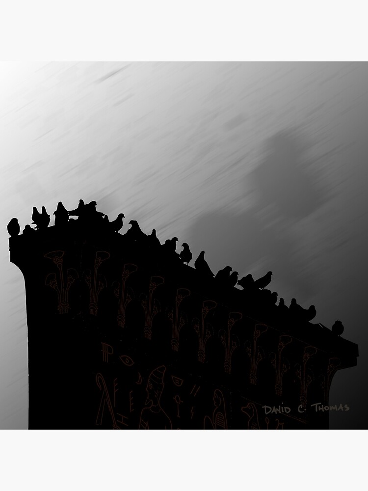 Pigeons On The Egypt 2011 by randomarthouse