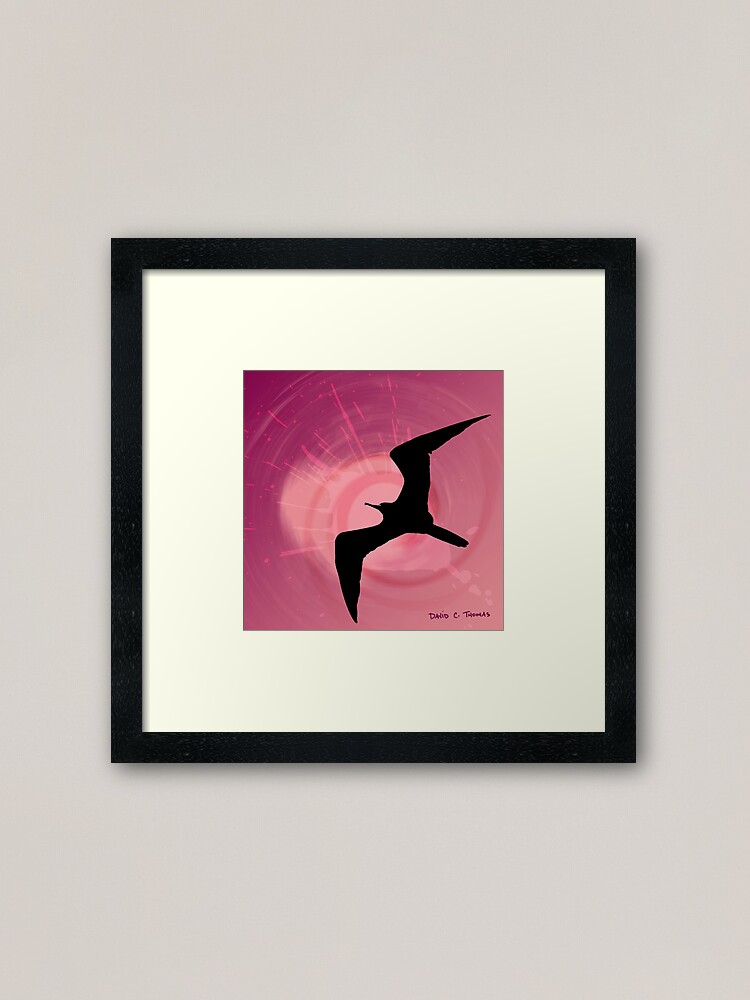 Alternate view of The Frigatebird 2011 Framed Art Print