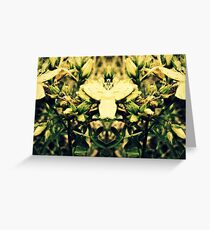 Fade Greeting Card