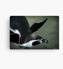 Water Wings Canvas Print