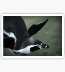 Water Wings Sticker