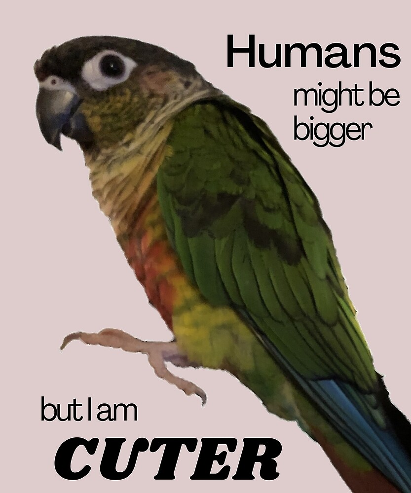 Green Cheek Conure design | Conure | Small Parrot | Parakeet | Parrot lover by TatianaLG