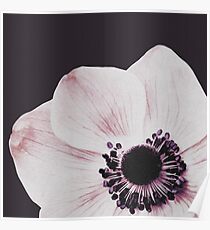 Flowers print, Minimalist, Plant, Nature, Minimal art, Modern art Poster