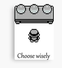 Pokemon - The choice Canvas Print