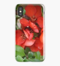 Red Flowers. iPhone Case/Skin